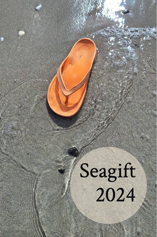 Seagift 2024 cover